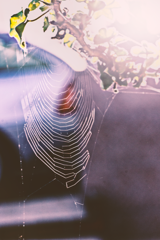 Leandro Chianetta REMEMBERING